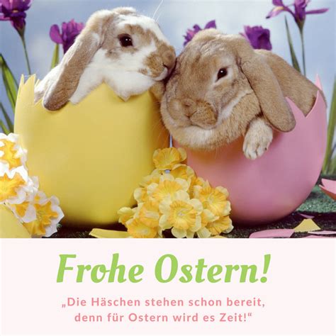 frohe ostern lustig|ostergrüße bilder.